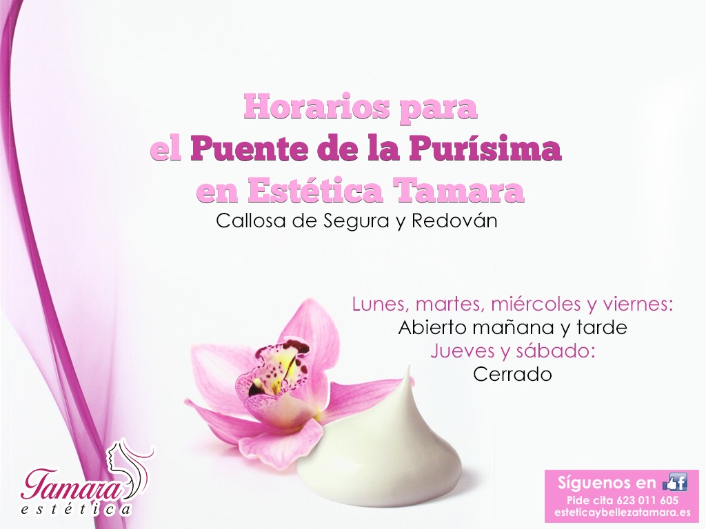 Horarios Puente de la Purisima